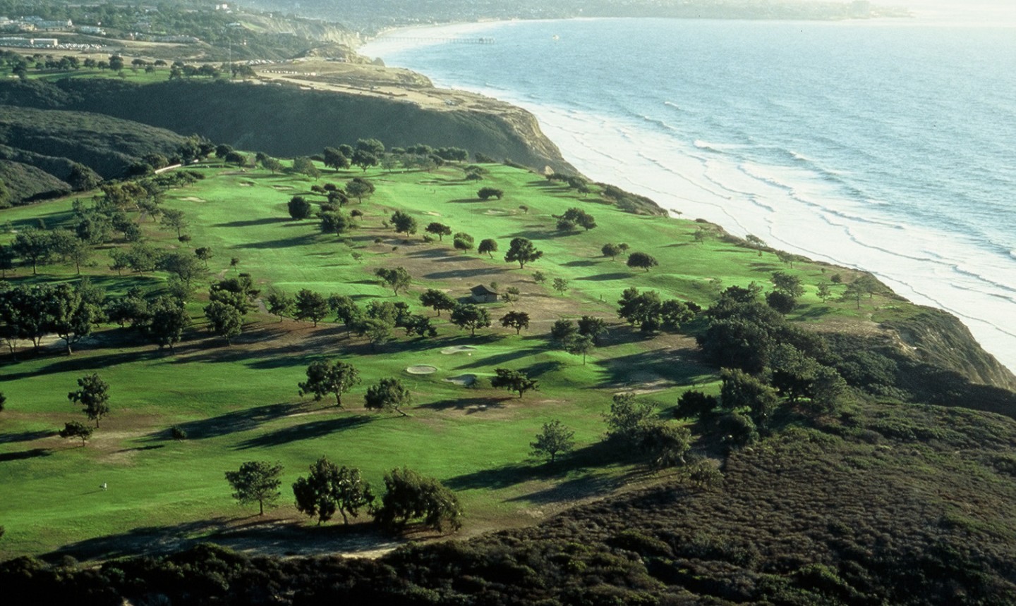 torrey